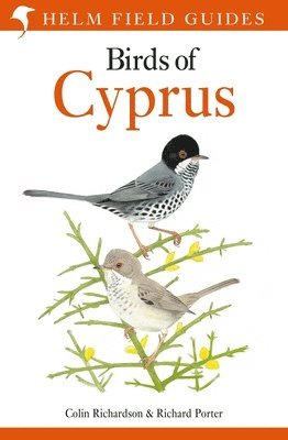 bokomslag Field Guide to the Birds of Cyprus