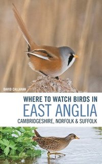 bokomslag Where to Watch Birds in East Anglia