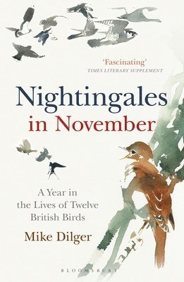 Nightingales in November 1