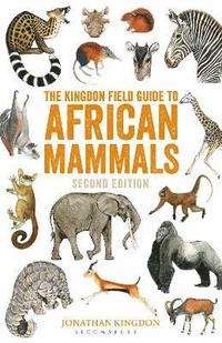 bokomslag The Kingdon Field Guide to African Mammals