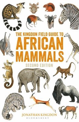 bokomslag The Kingdon Field Guide to African Mammals