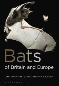 bokomslag Bats of Britain and Europe