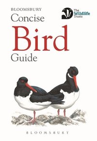 bokomslag Concise Bird Guide