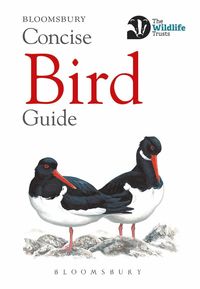 bokomslag Concise Bird Guide