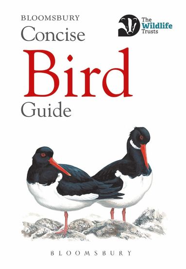 bokomslag Concise Bird Guide