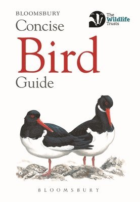 Concise Bird Guide 1