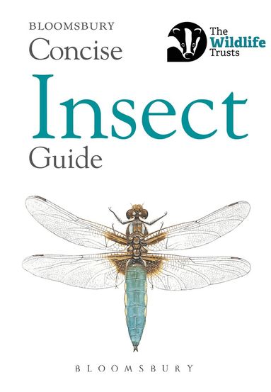 Bloomsbury - Concise Insect Guide, Häftad