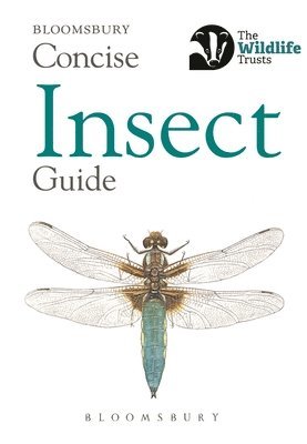 Concise Insect Guide 1