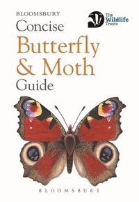 bokomslag Concise Butterfly and Moth Guide