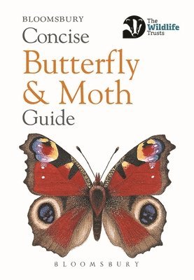 bokomslag Concise Butterfly and Moth Guide