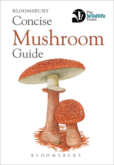 Bloomsbury - Concise Mushroom Guide, Häftad
