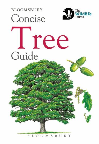 Bloomsbury - Concise Tree Guide, Häftad