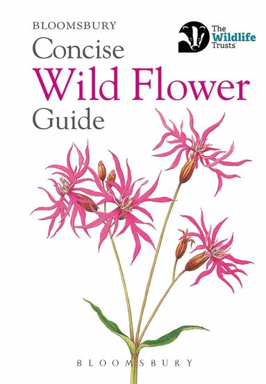 Bloomsbury - Concise Wild Flower Guide, Häftad