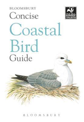 bokomslag Concise Coastal Bird Guide