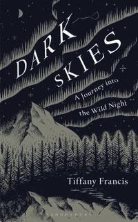 bokomslag Dark Skies: A Journey into the Wild Night