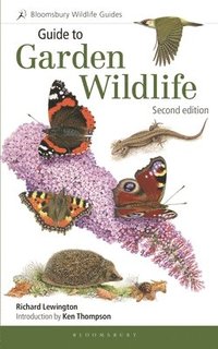 bokomslag Guide to Garden Wildlife (2nd edition)