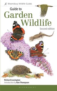 bokomslag Guide to Garden Wildlife (2nd edition)