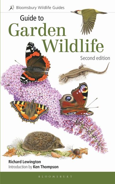 Richard Lewington - Guide to Garden Wildlife (2nd edition), Häftad