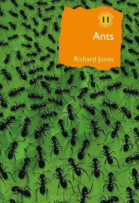 Richard Jones - Ants, Inbunden