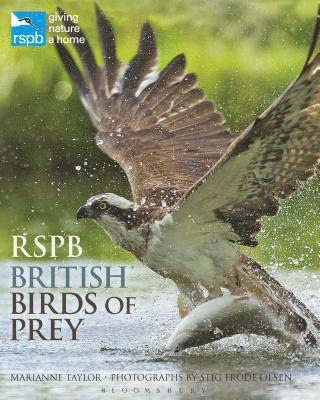 Marianne Taylor - RSPB British Birds of Prey, Inbunden