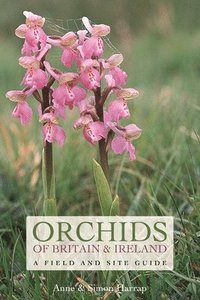 bokomslag Orchids of Britain and Ireland