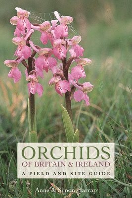 Orchids of Britain and Ireland 1