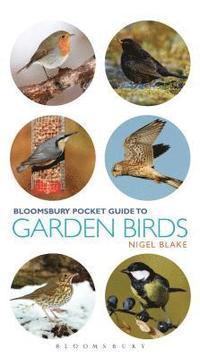 bokomslag Pocket Guide To Garden Birds