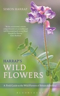 bokomslag Harrap's Wild Flowers