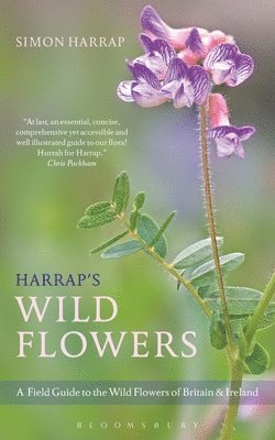 Harrap's Wild Flowers 1