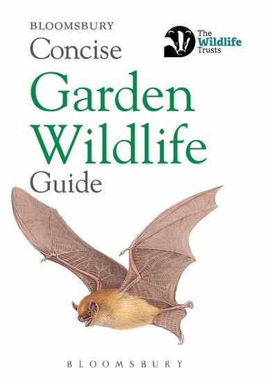Bloomsbury - Concise Garden Wildlife Guide, Häftad
