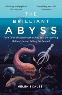 bokomslag The Brilliant Abyss: True Tales of Exploring the Deep Sea, Discovering Hidden Life and Selling the Seabed