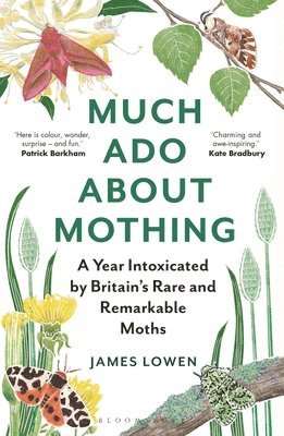 Much Ado About Mothing 1