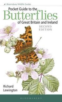bokomslag Pocket Guide to the Butterflies of Great Britain and Ireland