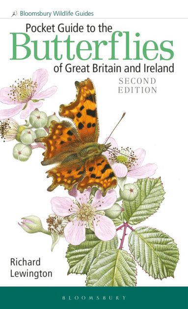 Richard Lewington - Pocket Guide to the Butterflies of Great Britain and Ireland, Häftad