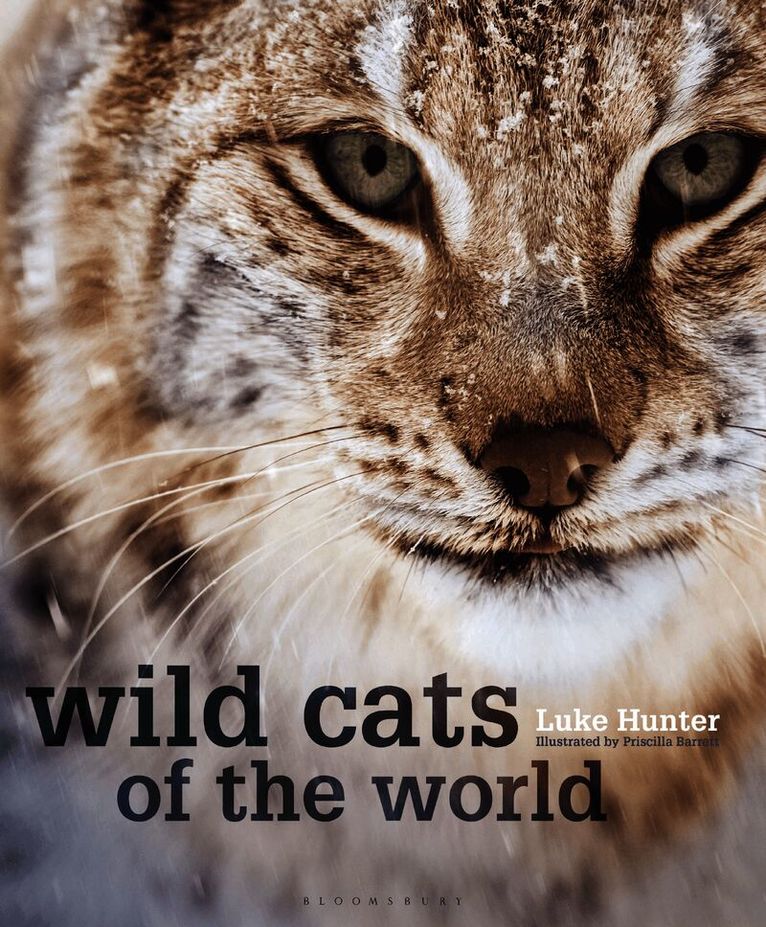 Wild Cats of the World