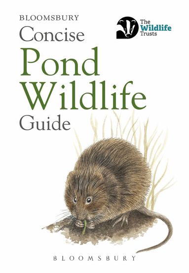 Bloomsbury - Concise Pond Wildlife Guide, Häftad