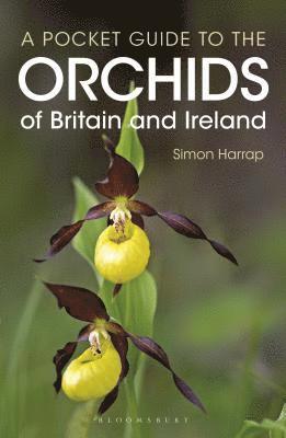 Pocket Guide to the Orchids of Britain and Ireland 1