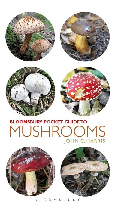 John C. Harris, Jane Lawes - Pocket Guide to Mushrooms, Häftad
