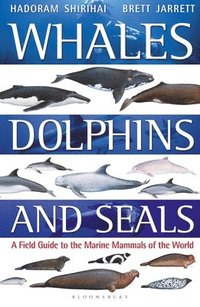 bokomslag Whales, Dolphins and Seals