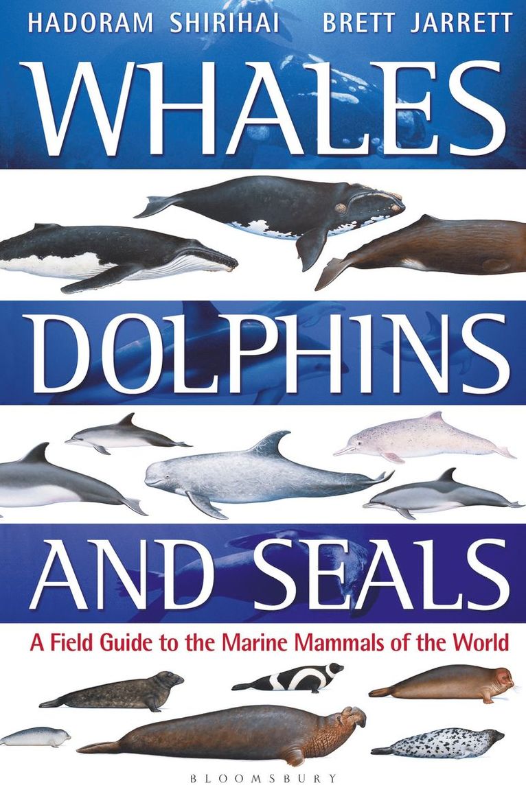 Hadoram Shirihai, Brett Jarrett - Whales, Dolphins and Seals, Häftad