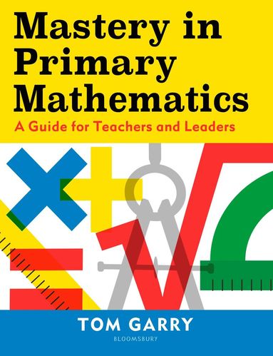 bokomslag Mastery in Primary Mathematics