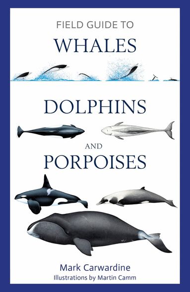 Mark Carwardine - Field Guide to Whales, Dolphins and Porpoises, Häftad
