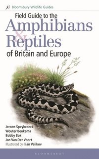 bokomslag Field Guide to the Amphibians and Reptiles of Britain and Europe