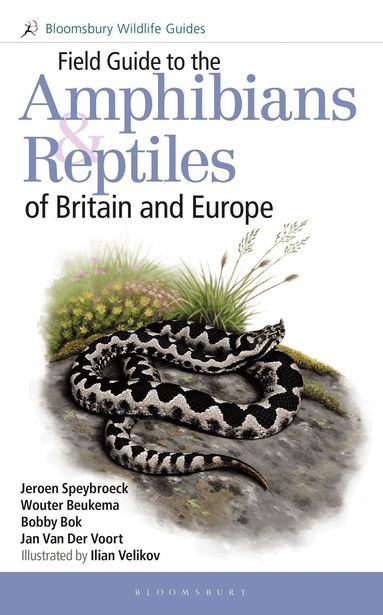 Jeroen Speybroeck, Wouter Beukema, Bobby Bok, Jan Van Der Voort - Field Guide to the Amphibians and Reptiles of Britain and Europe, Häftad