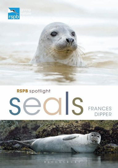 Frances Dipper - RSPB Spotlight Seals, Häftad