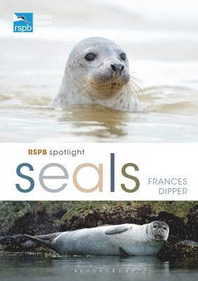 bokomslag RSPB Spotlight Seals
