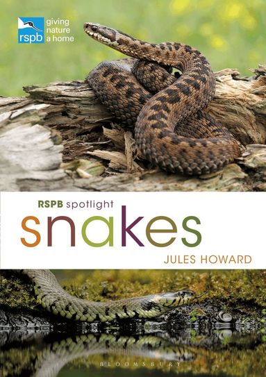 Jules Howard - RSPB Spotlight Snakes, Häftad