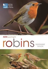 bokomslag RSPB Spotlight: Robins
