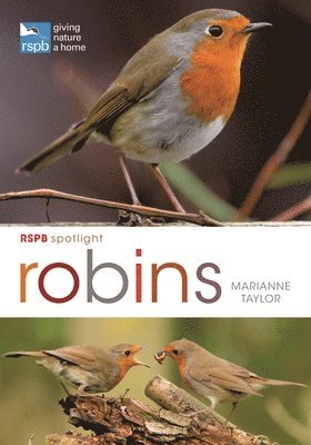RSPB Spotlight: Robins 1