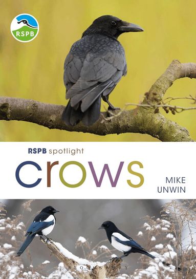 Mike Unwin - RSPB Spotlight Crows, Häftad